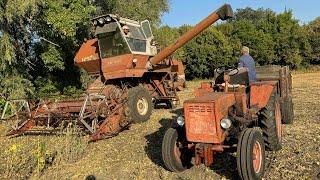 Фермер не ВИТРИМАВ️Розпродаж ТЕХНІКИ️НИВА СК-5М-1, сівалка John Deere, МТЗ, жнива сої 2024