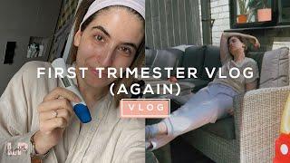 FIRST TRIMESTER VLOG (2nd Pregnancy) | Lily Pebbles