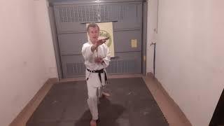 gyaku no kata