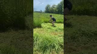 Don’t tell me to stand up straight! Race training. Mowing 110cm scythe blade and a homemade snath
