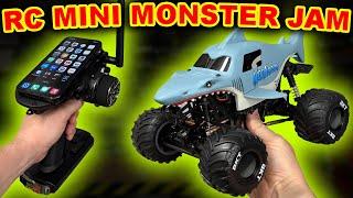 Ultimate RC Mini Monster Jam Truck BACKFLIPS
