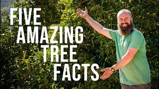 Five Amazing Tree Facts with Archie the Arborist