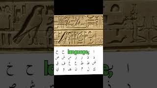 Today's Egyptians did not build the pyramids #blackhistory #africanhistory #egypt #ancienthistory