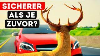 Sicherheitssysteme moderner Autos || Wie funktionieren sie?