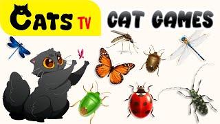 CAT TV | Bugs Ultimate Compilation | Best games for cats