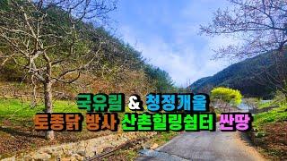 #봉화토지매매 국유림 & 청정개울 접한 두메산골 골짜기 끝자락 #전원부지매매 경북 봉화군 재산면 동면리 전원주택 & 농막 & 체류형쉼터 좋은 산촌오지 #시골땅매매 (봉화-2555)