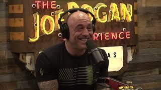 Joe Rogan Experience #1995 - Chad Stahelski