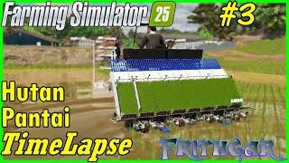 FS25 Timelapse, Hutan Pantai #3: Winter Wood And Rice Planting!