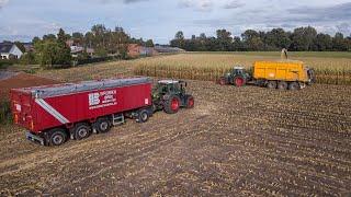 Loonbedrijf Broekx | Mais hakselen 2020 | 2x Claas Jaguar 960 | 9x Fendt