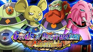 STAGE 13 COMPLETE!! Epic Transcendent Gods Of Destruction Assemble Event | DBZ Dokkan Battle