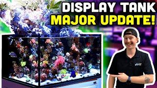 Waterfall Reef Tank Update! Mangroves, New Corals, and MORE!