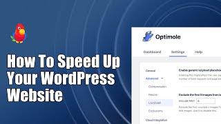 How  to Speed up Your WordPress Website [2023]