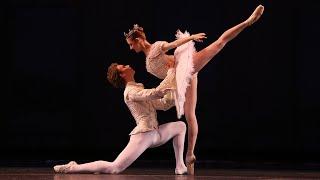 Houston Ballet II at the Forbes Center for the Performing Arts - March 25 and 26, 2025  at 7:30 pm