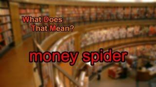 What does money spider mean?