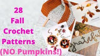 28 Fall Crochet Patterns NOT Pumpkins!