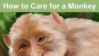 A selection of WikiHow articles