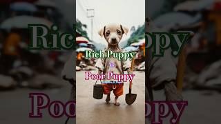 Rich Puppy vs Poor Puppy | Emotional Puppy Life Story | Poor Puppy Crying | vs  | Must Watch!!