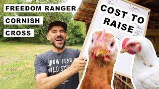 COST TO RAISE (Freedom Rangers vs. Cornish Cross)