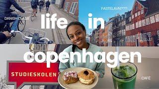 AMERICAN EXPAT IN DENMARK, What is Fastelavn? My Mom Shares Her Experience, Danish Class, Copenhagen