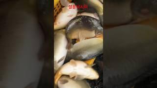 방류빨만 좋으면 뭘 하냐고? 날씨는 남의 편인데! 아무튼 추운데 고생하셨습니다