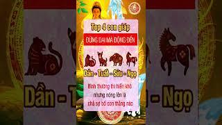Bí kíp cải vận thay đổi mệnh của cổ nhân | Cải vận đời người #bikipcaivan #caivan