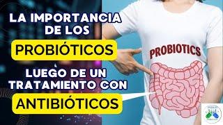 Que Son Los PROBIÓTICOS Y Sus BENEFICIOS Después De Los ANTIBIÓTICOS. | FARMAORIÉNTATE |