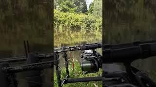 CRAZY CARP RUN #carpfishing