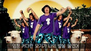 이광수와 모기의 저주