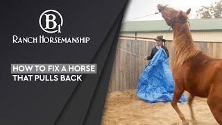 How to Fix a Horse that Pulls Back Preview