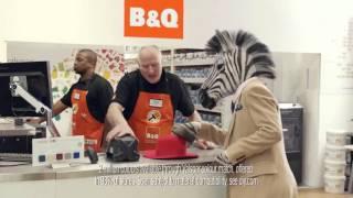B&Q - Zebra