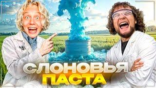 ХАЗЯЕВА СДЕЛАЛИ ЭКСПЕРИМЕНТ СО СЛОНОВЬЕЙ ПАСТОЙ | ЛЮТЫЙ УГАР С БУЛЬБОМЕТОМ