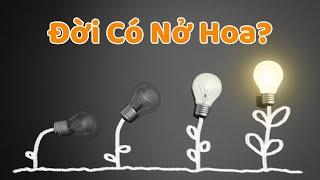 Phải Ít Nhất 1 Lần Nở Hoa