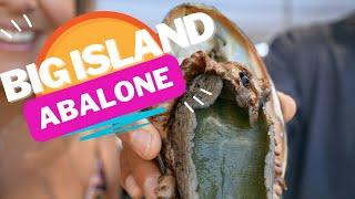 Big Island Abalone Tour - What to Do When Visiting The Big Island of Hawaii