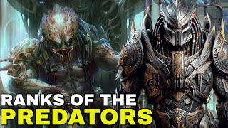 The YAUTJA Hierarchy: Who Reigns Supreme in PREDATOR Society?