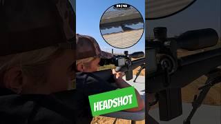 Maggie destroyed his head | FX DRS Classic | Airgun Pest Control #fxairguns