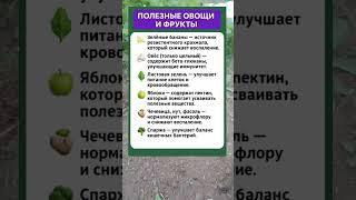 ПОЛЕЗНЫЕ ОВОЩИ И ФРУКТЫ — ЕШЬ НА ЗДОРОВЬЕ! 