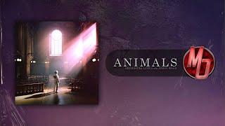 Architects: Animals (Orchestra Live from Abbey Road)