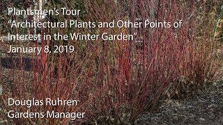 "Architectural Plants and Other Points of Interest in the Winter Garden"