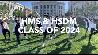 DOC ft. Harvard Medical School & HSDM (a parody of WAP)