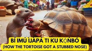 Yoruba folktale: Bi imu ijapa ti ku konbo- How the tortoise got a stubbed nose