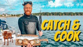 Scallop diving - CATCH & COOK on south coast of England (Sailing Cadoha) S3 Ep19