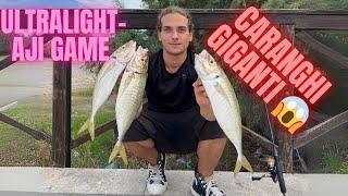 CARANGHI GIGANTI A ULTRALIGHT sfrizionate infinite #lightspinning #fishing #spinning #mare