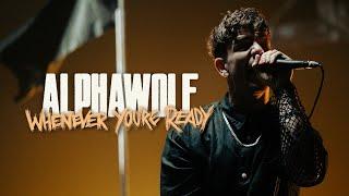 Alpha Wolf - Whenever You're Ready (OFFICIAL MUSIC VIDEO)