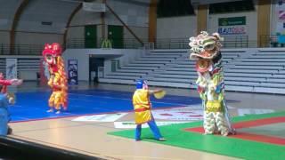 [La nuit des Arts Martiaux à Saintes] Danse de la Licorne.