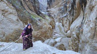 A Nomadic Woman's Solo Journey | Life in Zagros