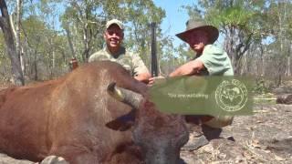 Outdoor Quest TV Australia Wild Ox/Barramundi Fiishing