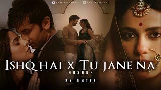 Ishq Hai x Tu Jaane Na Mashup | Amtee | Arijit Singh | Sahiba | Mismatched | Raanjhan | Maiyya