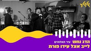 הדג נחש - עיר האלוהים (לייב אצל עידו פורת)