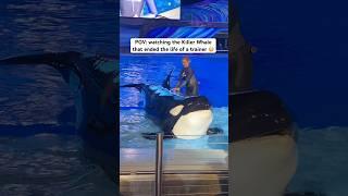 This Killer Whale ended a life of a trainer 