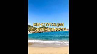 Менструация и беременность